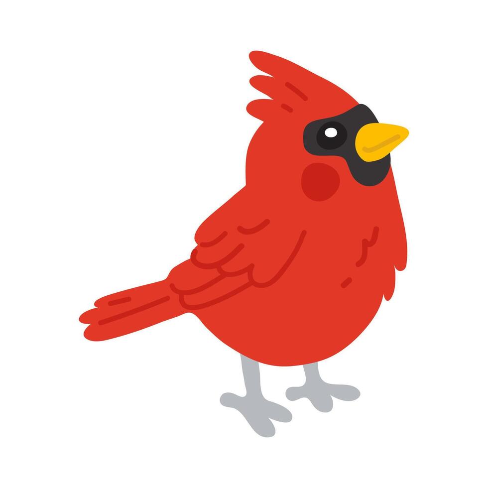 doodle red cardinal vector