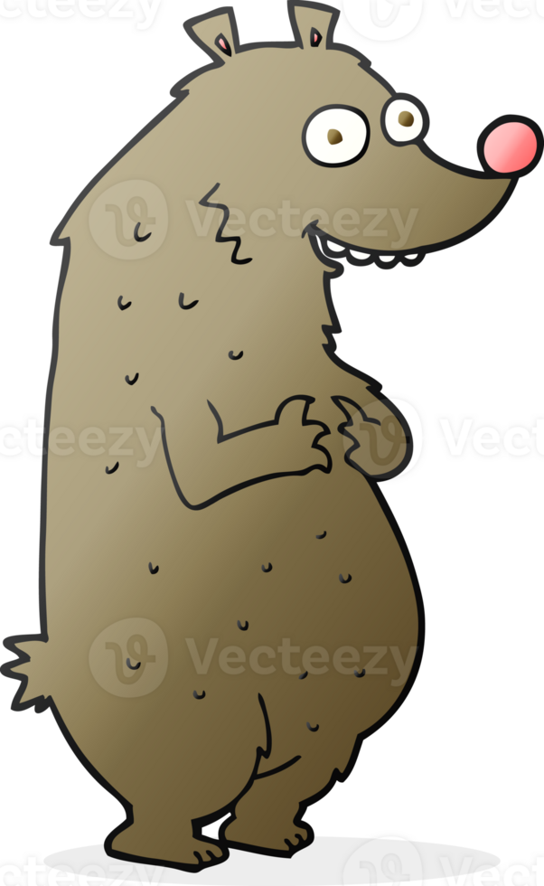 hand drawn cartoon bear png