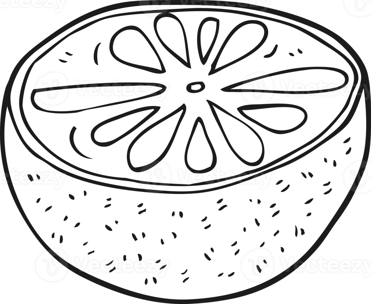 hand drawn black and white cartoon half melon png