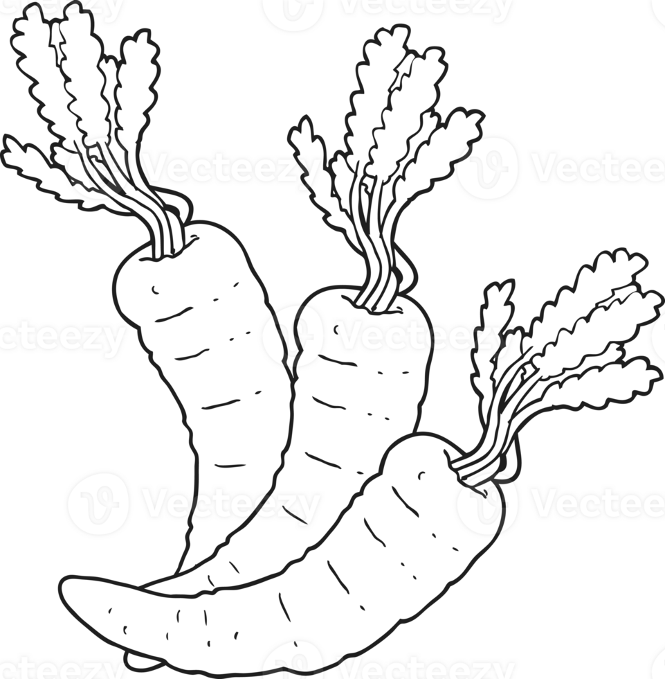 hand drawn black and white cartoon carrots png