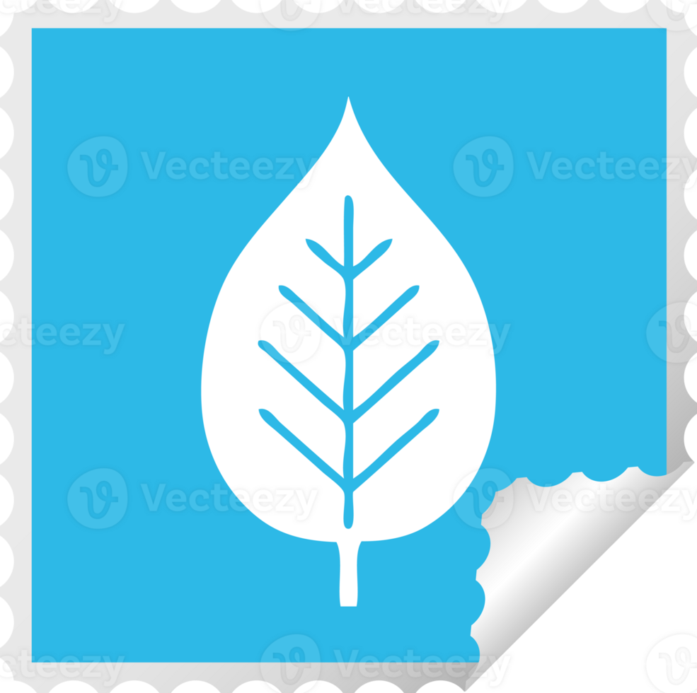 square peeling sticker cartoon of a green leaf png