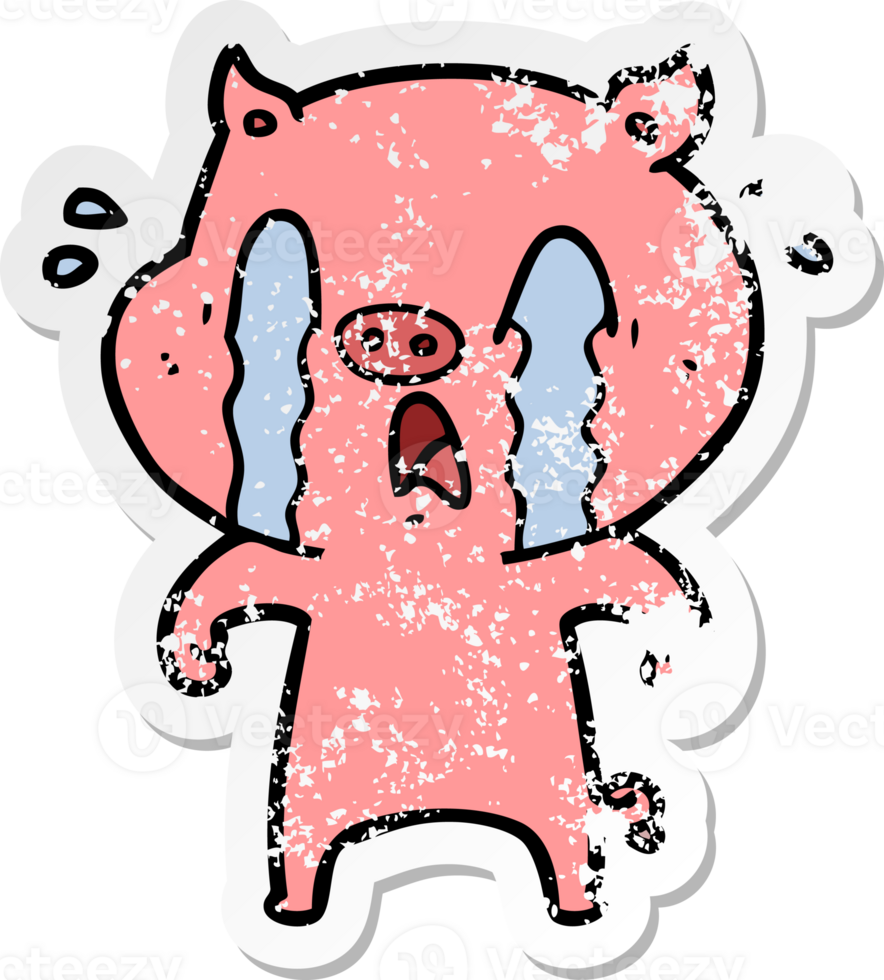 distressed sticker of a crying pig cartoon png