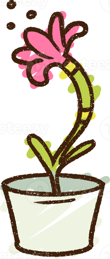 Flower Chalk Drawing png