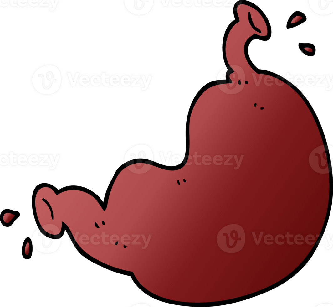 cartoon doodle human organ png