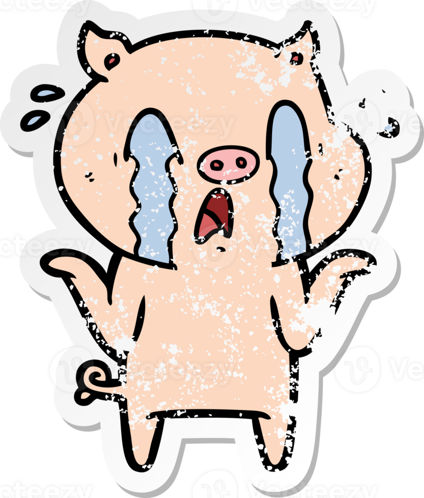 distressed sticker of a crying pig cartoon png
