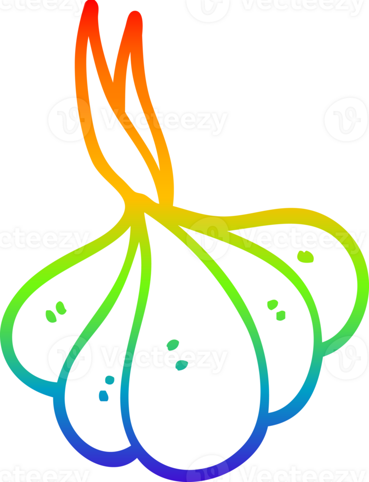 rainbow gradient line drawing of a cartoon sprouting garlic png