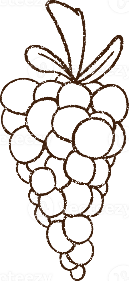 Grapes Charcoal Drawing png