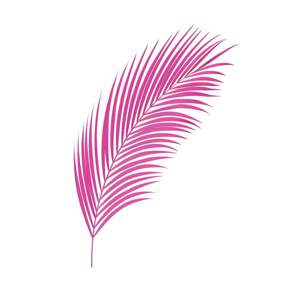 Abstract tropical leaves illustration on white vector
