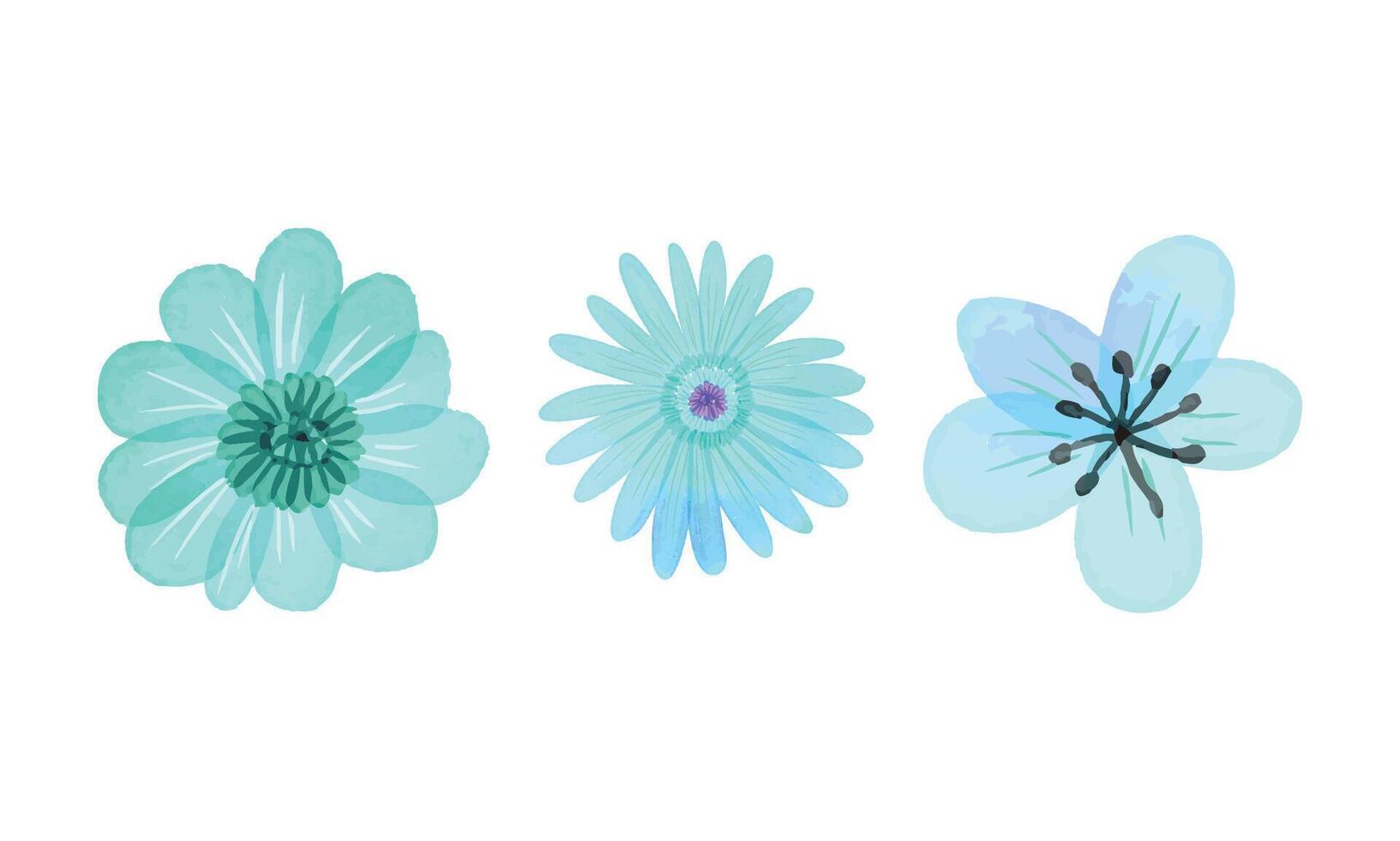 Watercolor flowers collection on white background vector
