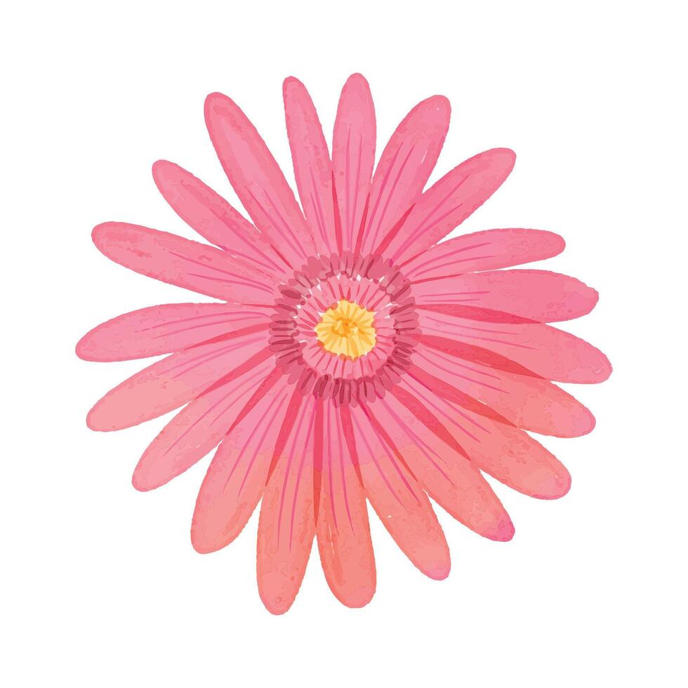 Watercolor flowers illustration on white background vector