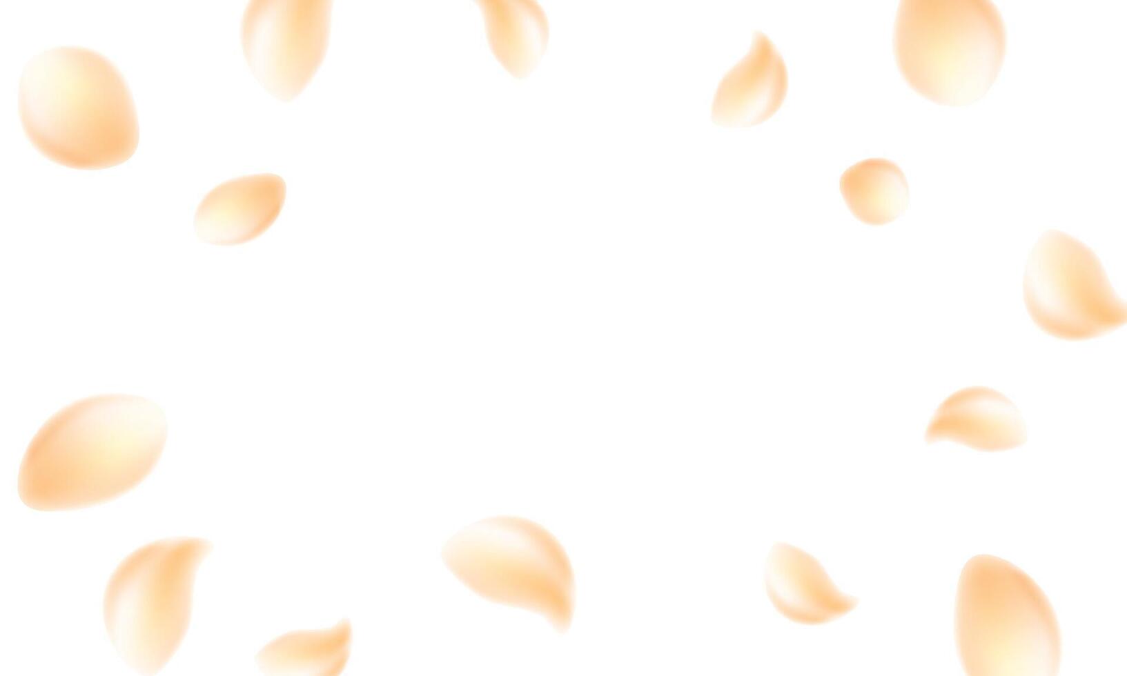 Sakura flying petals on white background vector