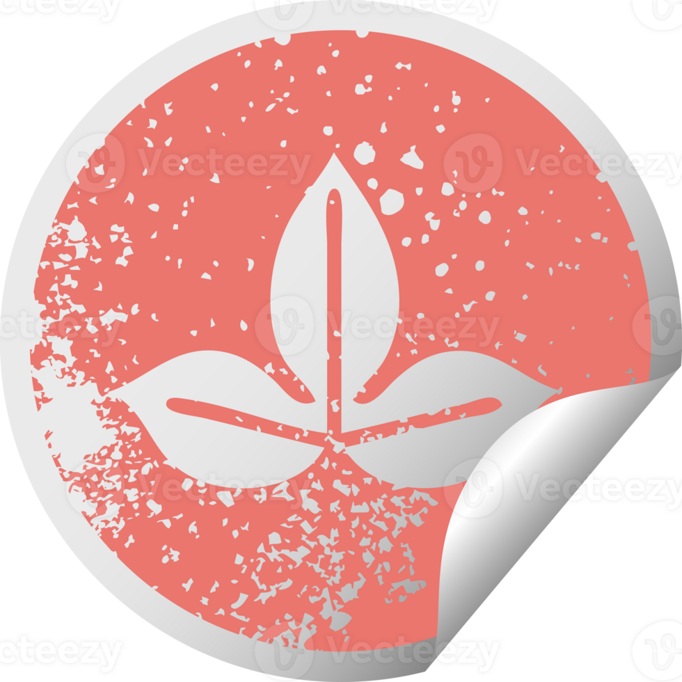 distressed circular peeling sticker symbol of a autumn leaf png