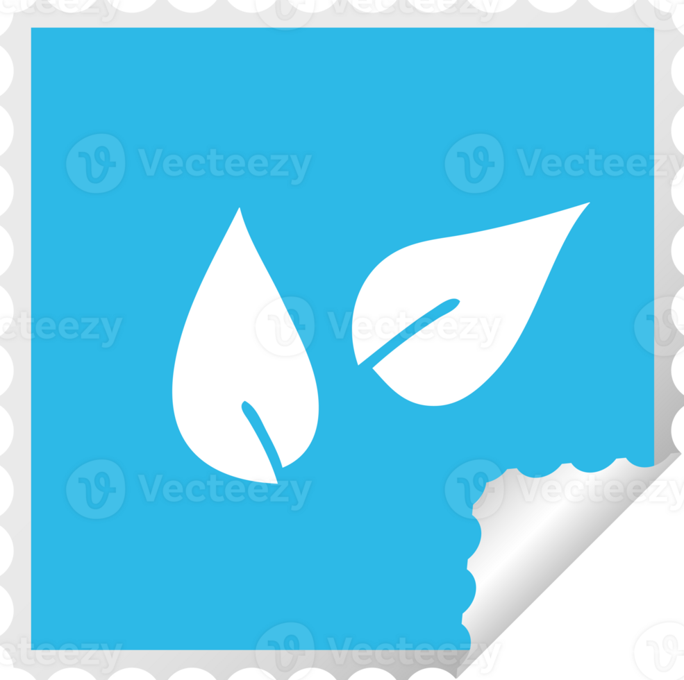 square peeling sticker cartoon of a leaves png