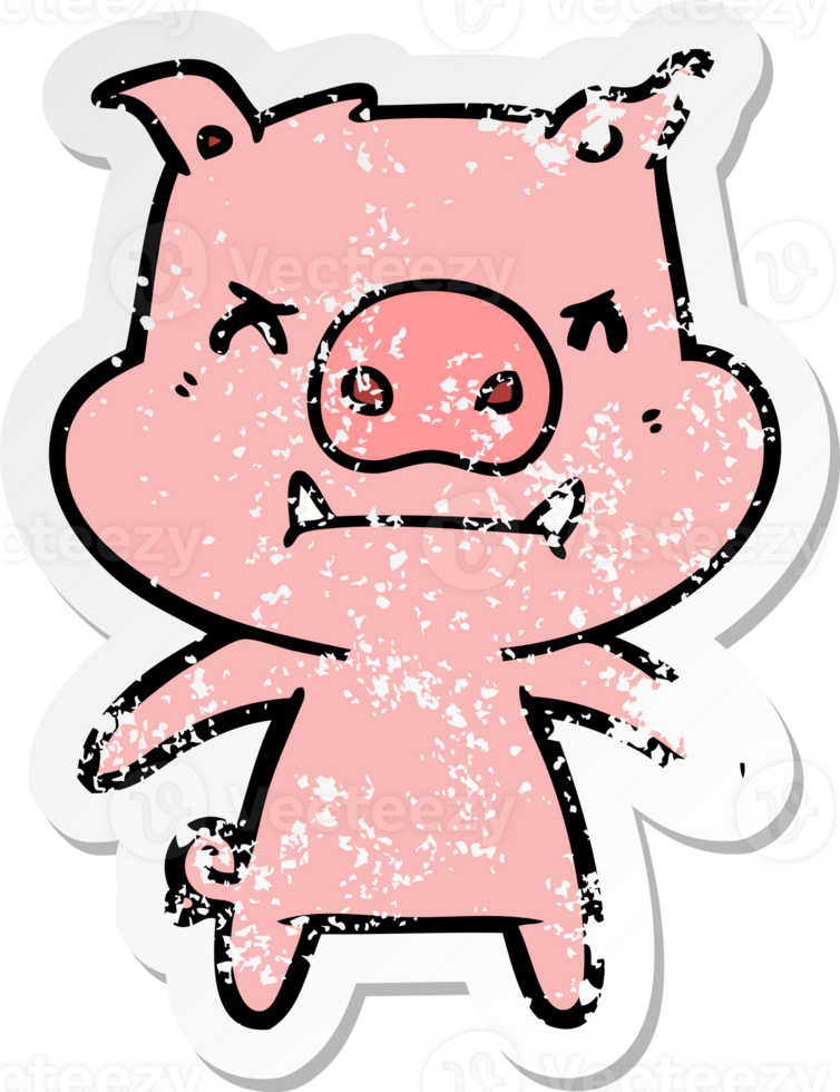 distressed sticker of a angry cartoon pig png