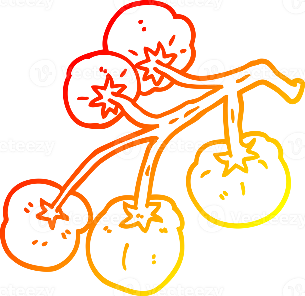 warm gradient line drawing of a cartoon tomatoes on vine png