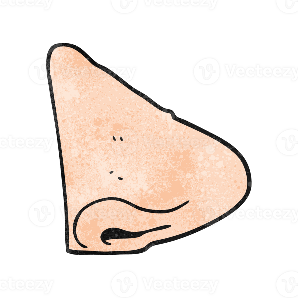 texturizado desenho animado nariz png