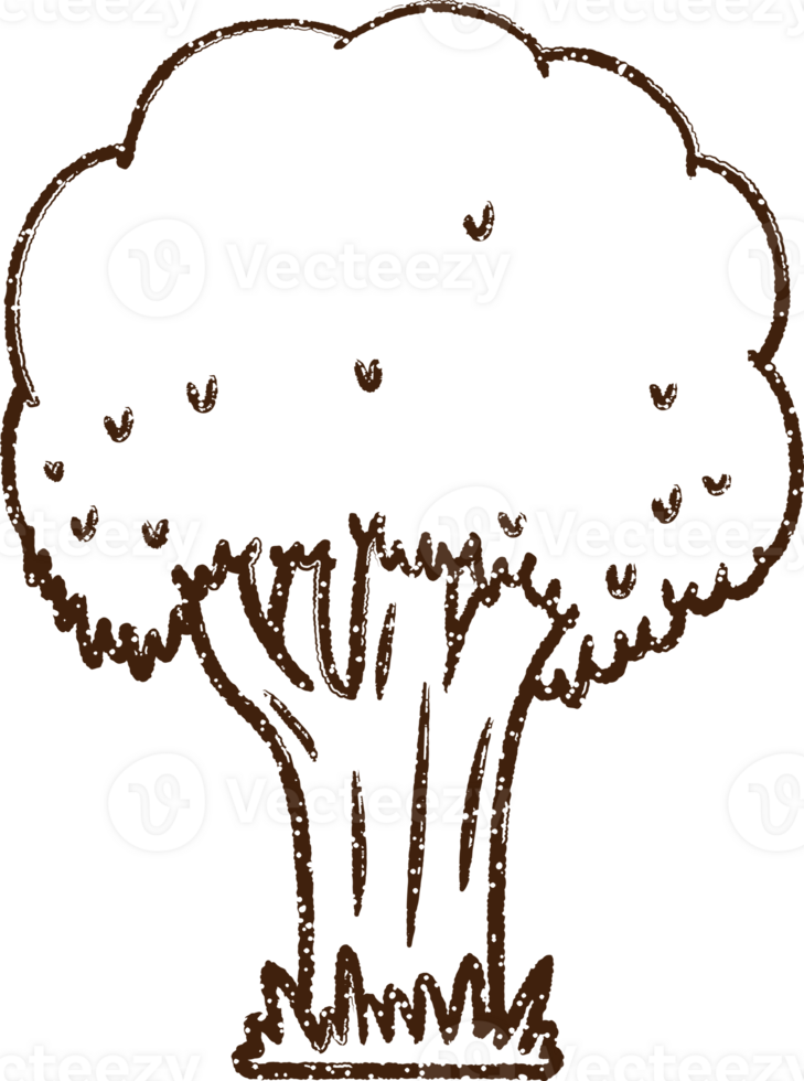 Tree Charcoal Drawing png