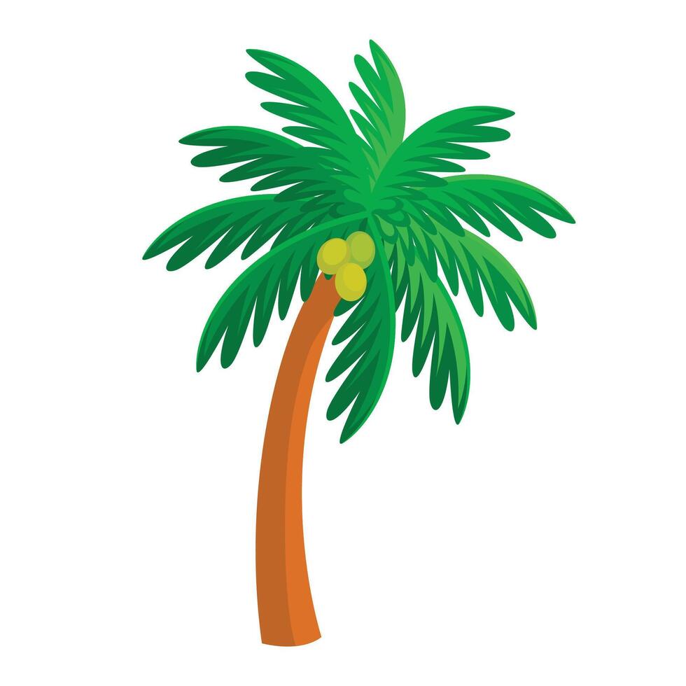 hand drawn palm trees with coconut on white vector