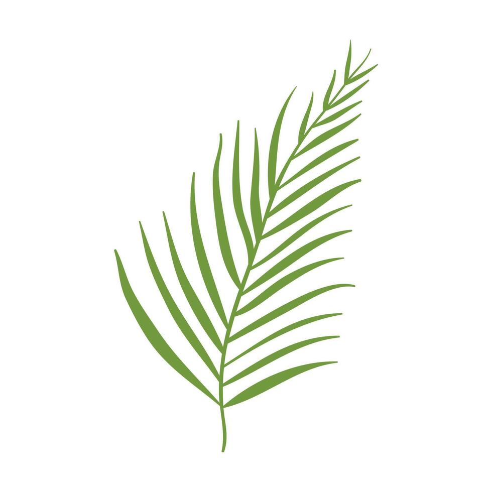 Abstract tropical leave on white background vector