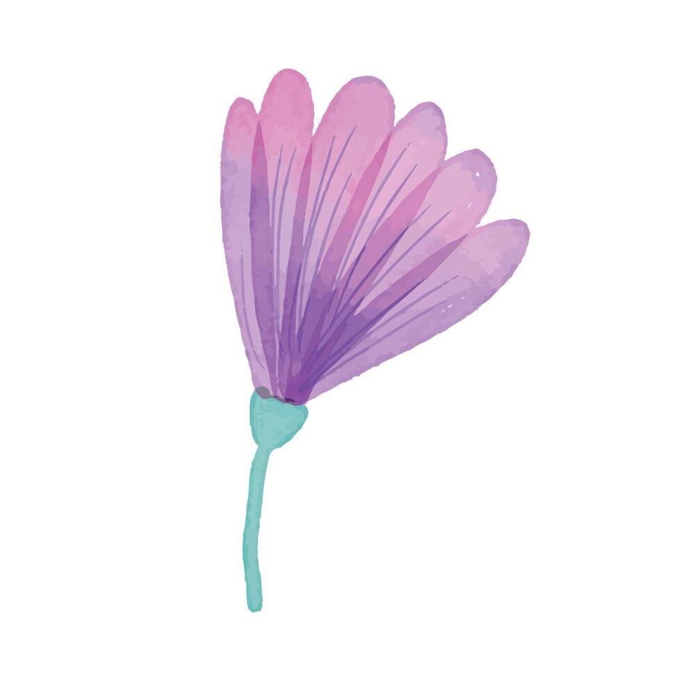 Watercolor flowers illustration on white background vector