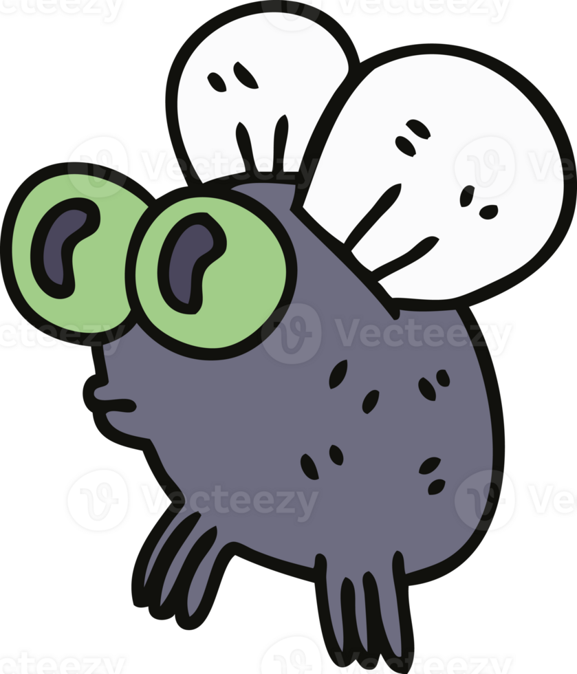 quirky hand drawn cartoon fly png