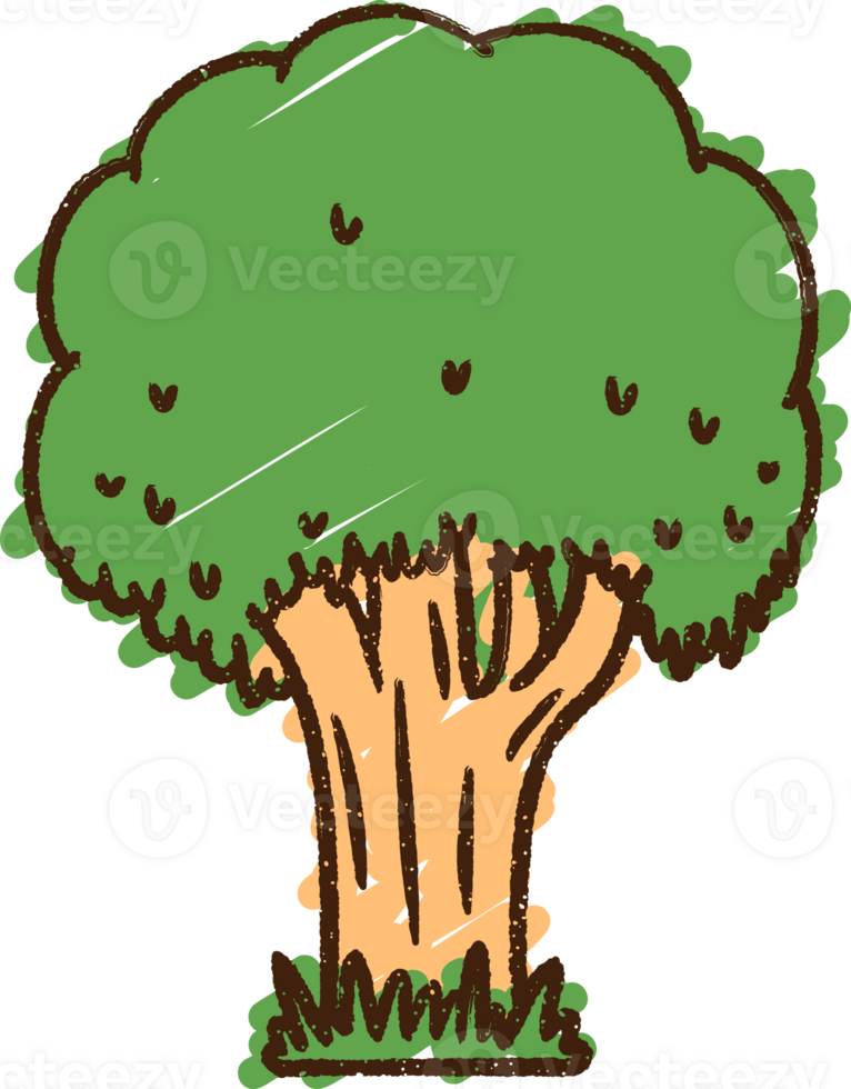 Tree Chalk Drawing png
