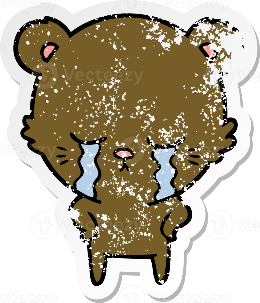 distressed sticker of a crying cartoon bear png