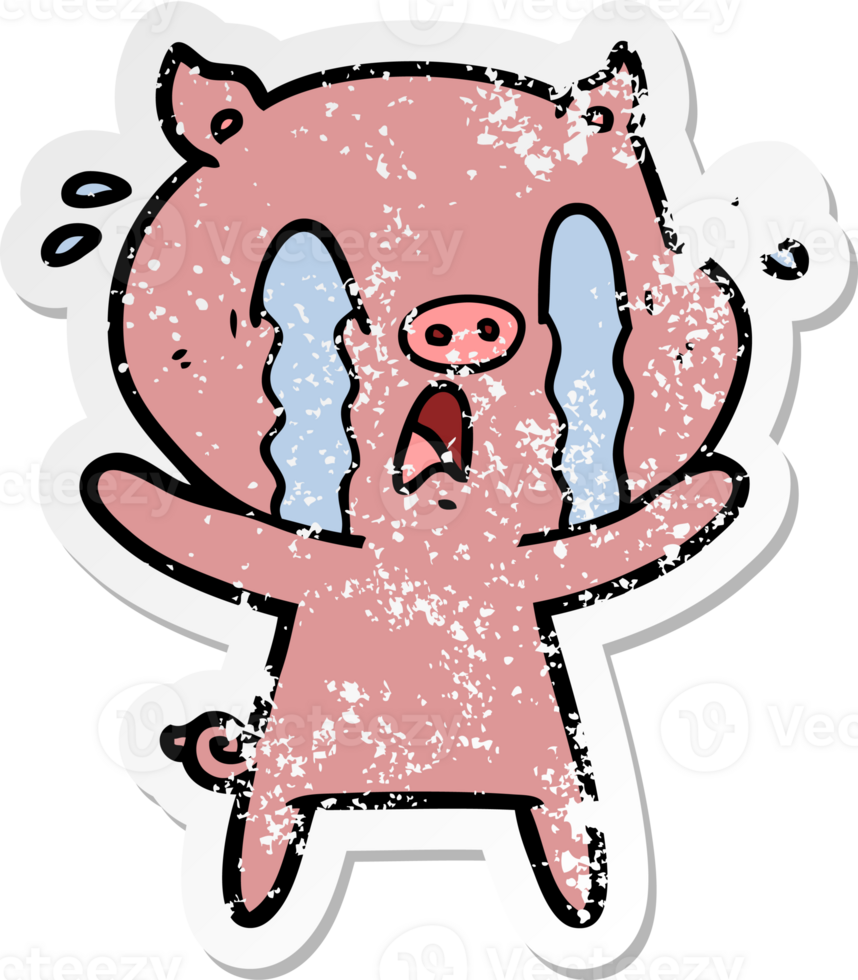 distressed sticker of a crying pig cartoon png