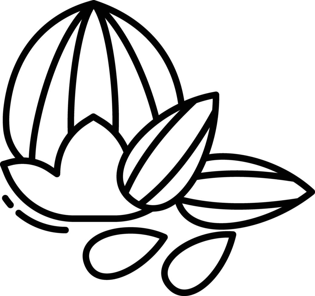 Badam and walnut outline illustration vector