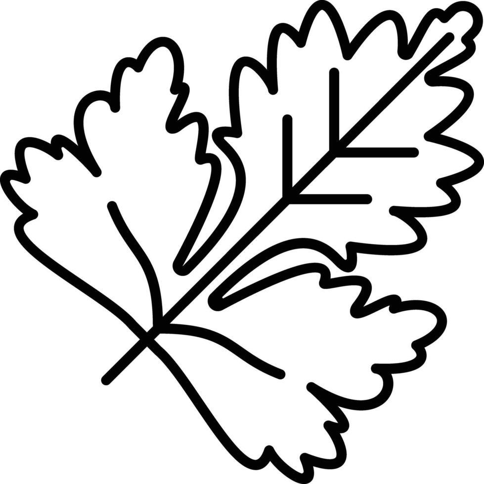 Leaf outline illustration vector