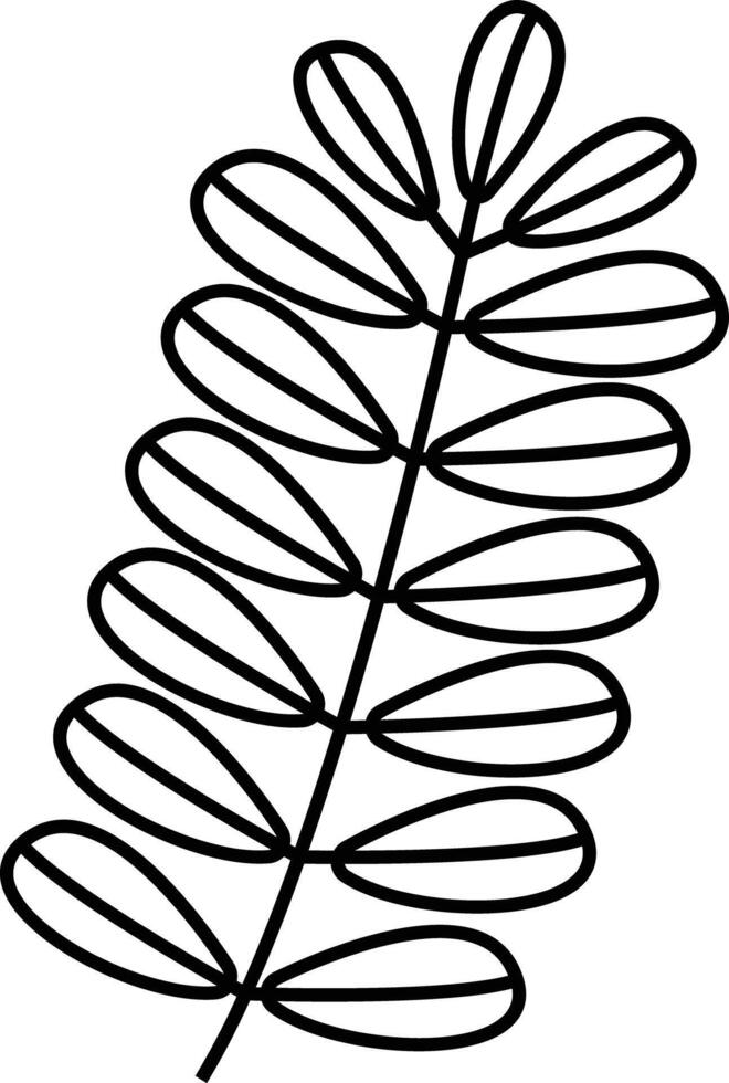 Tamarind Leaf outline illustration vector