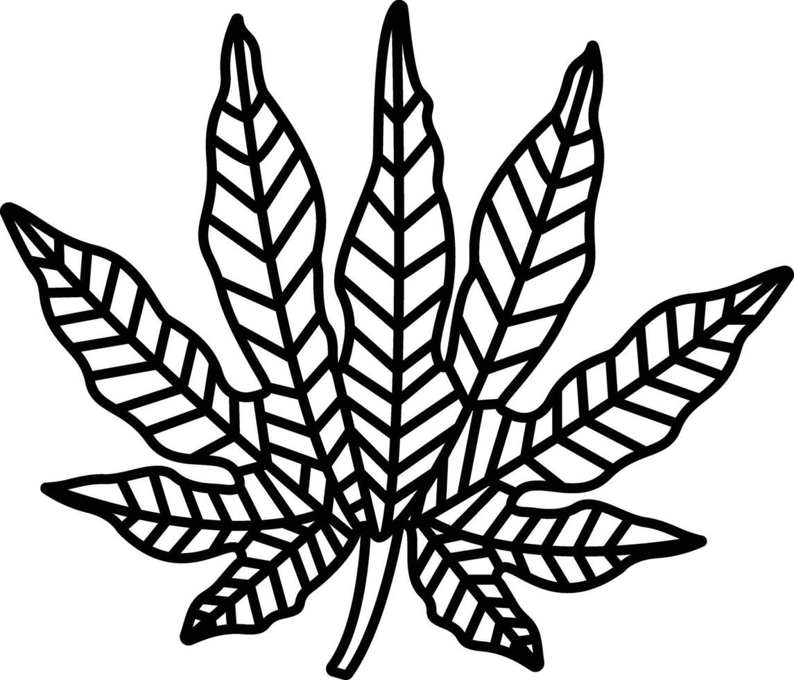 Aralia Leaf outline illustration vector