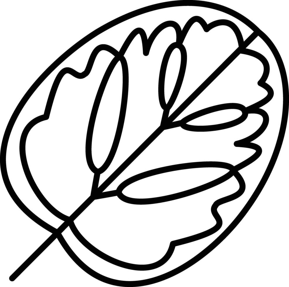 Calathea Leaf outline illustration vector