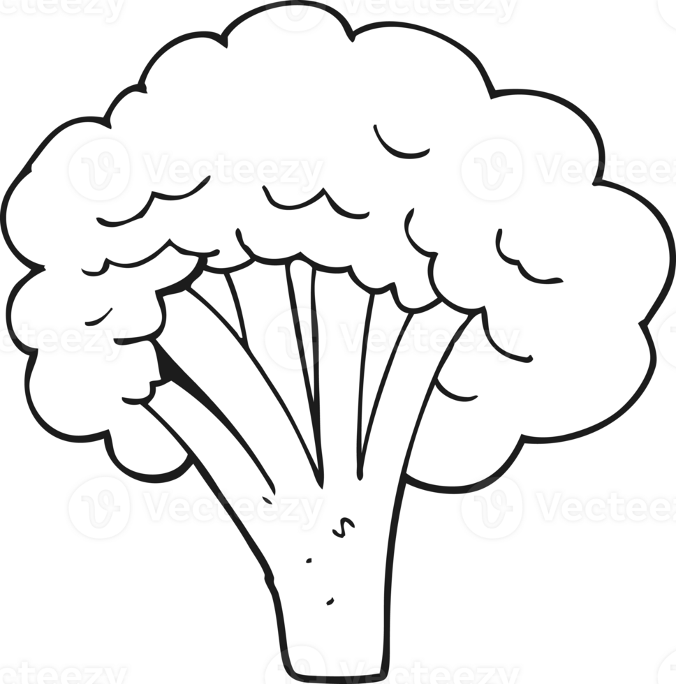 black and white cartoon broccoli png