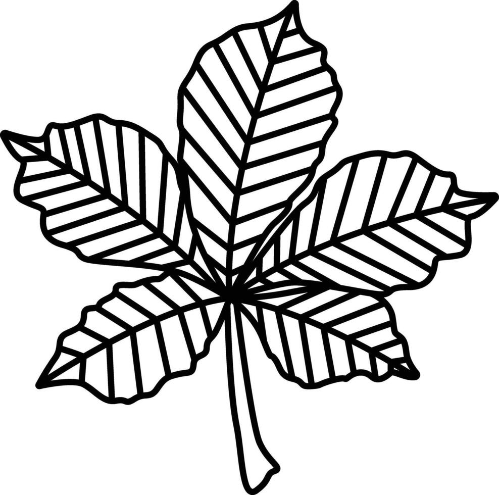 Chestnut Leaf outline illustration vector