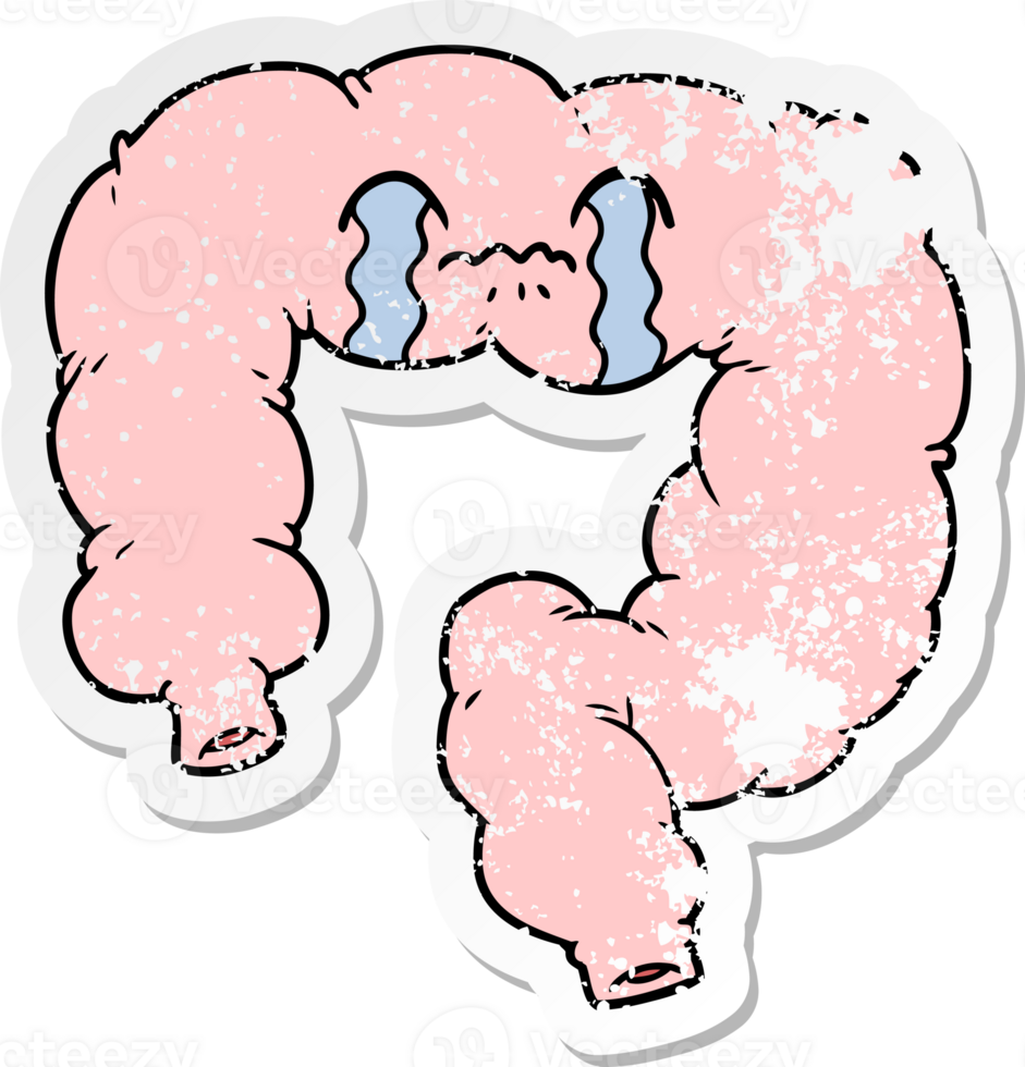 distressed sticker of a cartoon colon png