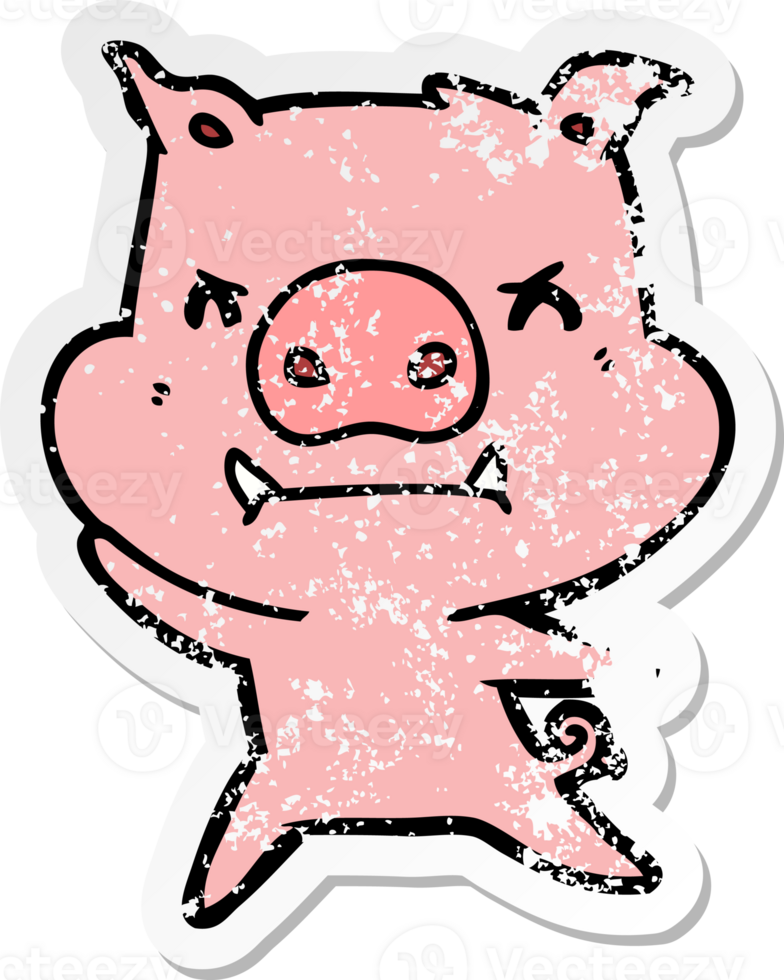 distressed sticker of a angry cartoon pig png