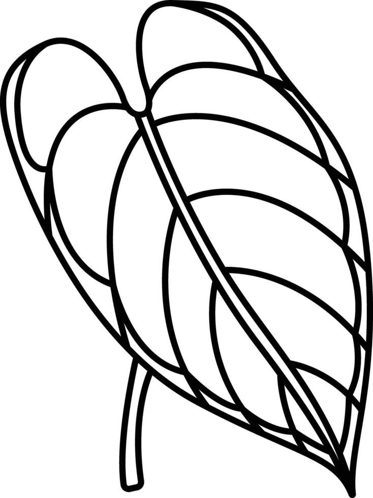 Anthurium Leaf outline illustration vector