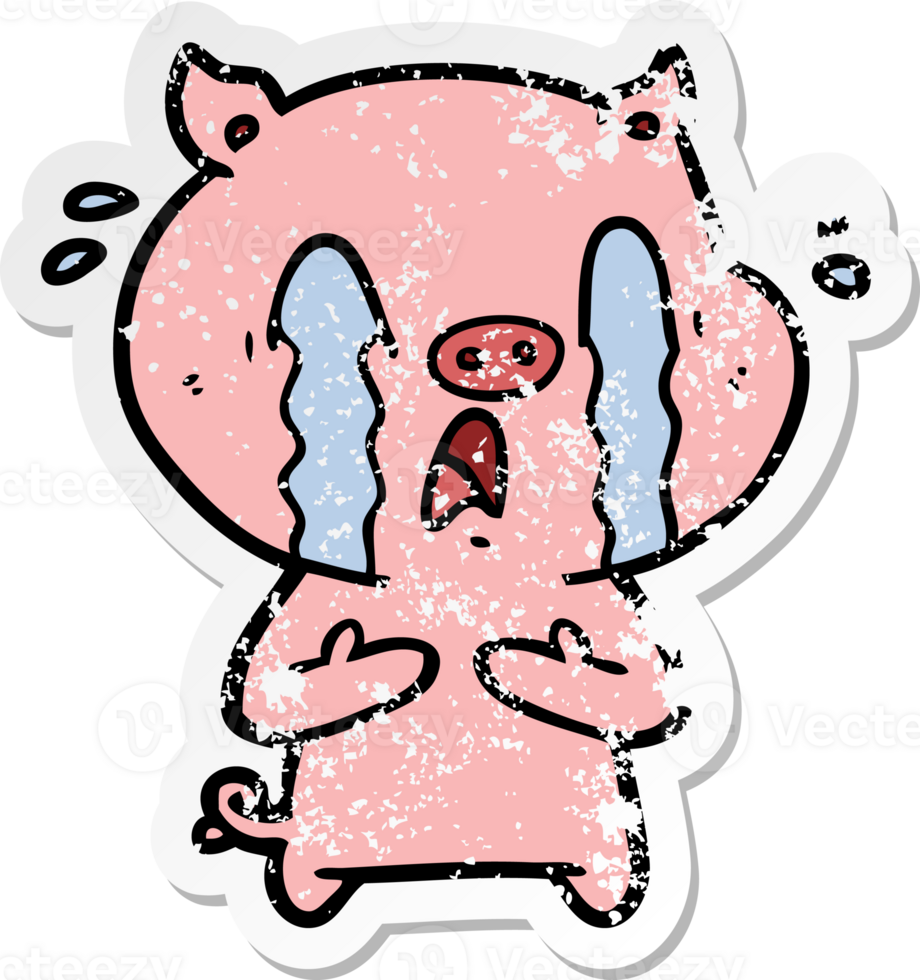 distressed sticker of a crying pig cartoon png