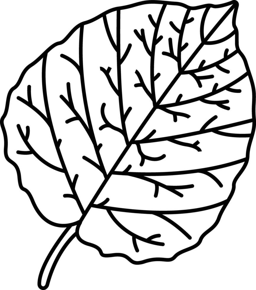 Aspen Leaf outline illustration vector
