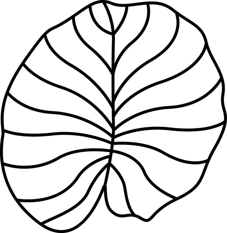 Lotus Leaf outline illustration vector