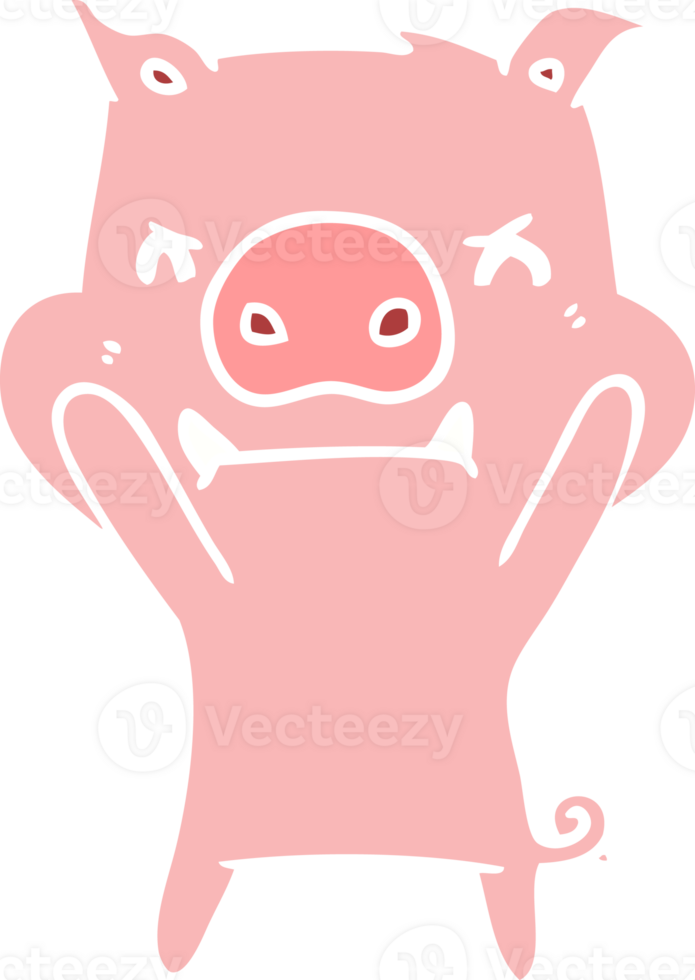 angry flat color style cartoon pig png