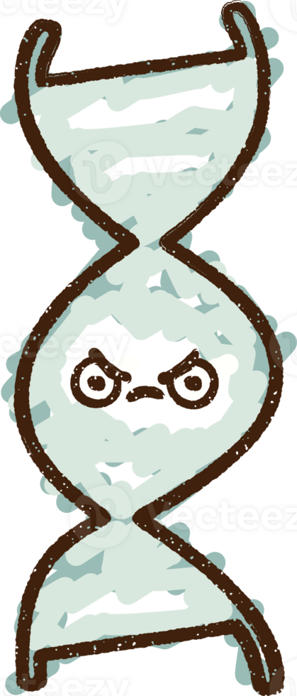 DNA Strand Chalk Drawing png