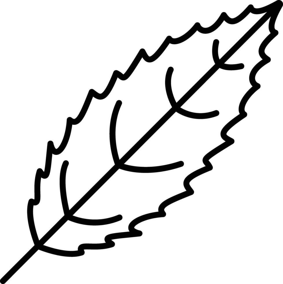 Black cherry Leaf outline illustration vector
