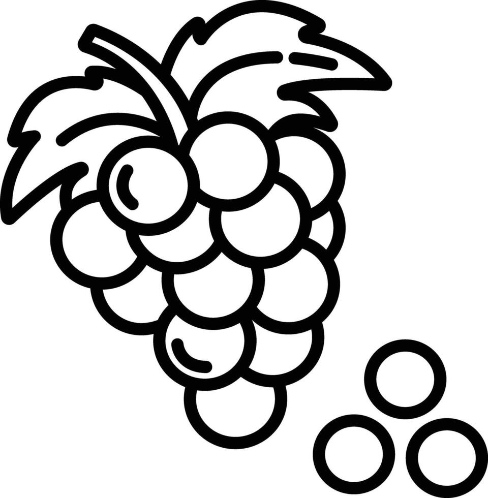 Grapes outline illustration vector
