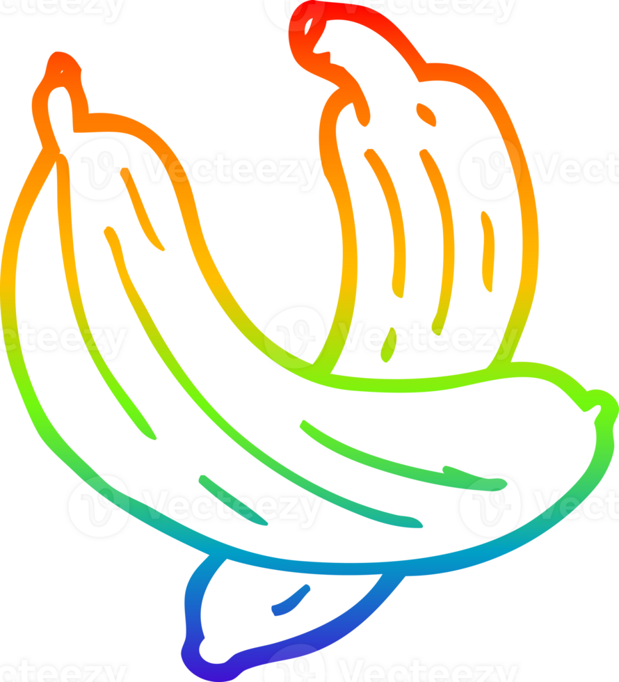 rainbow gradient line drawing cartoon pair of  bananas png