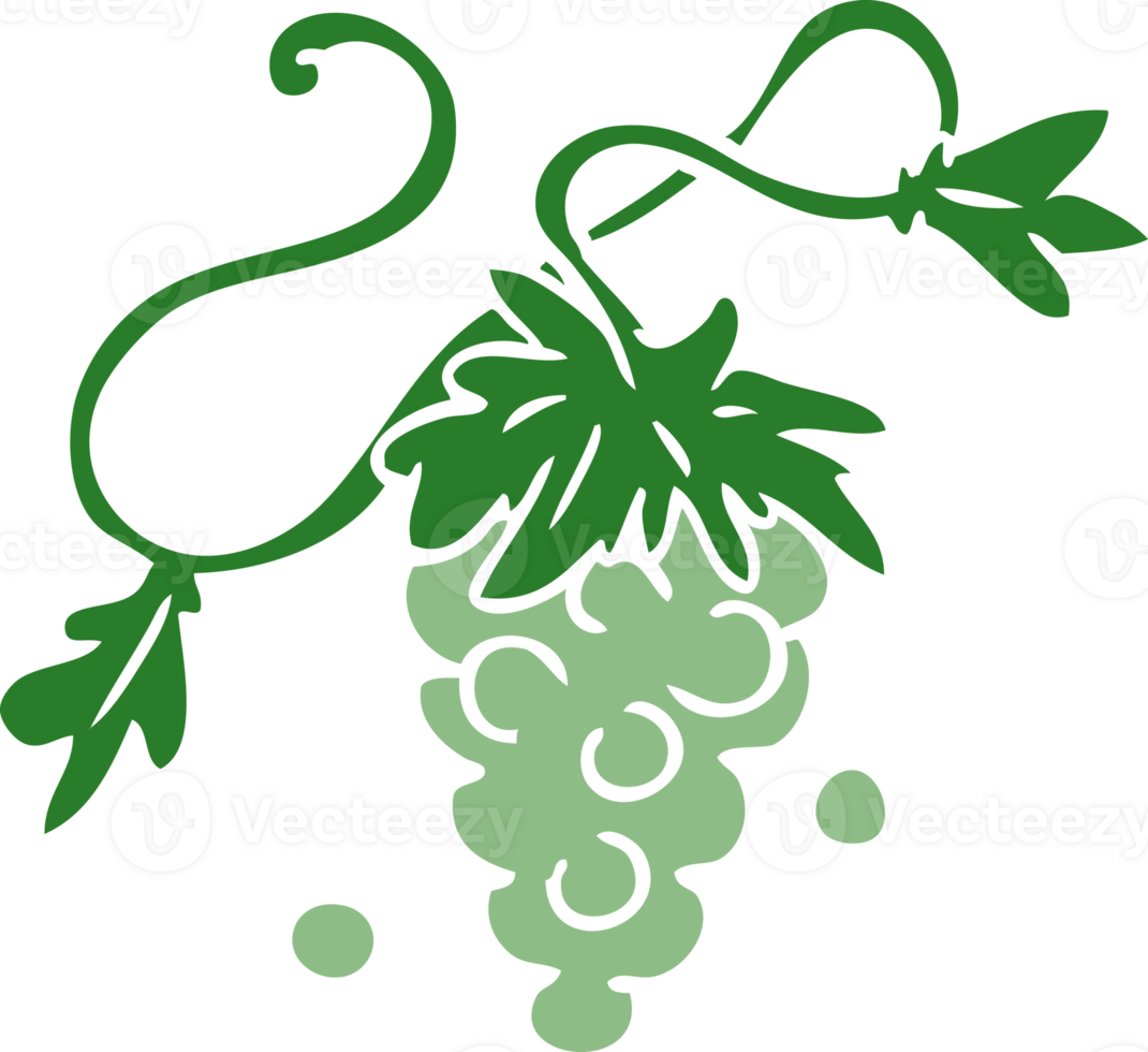 cartoon doodle of grapes on vine png