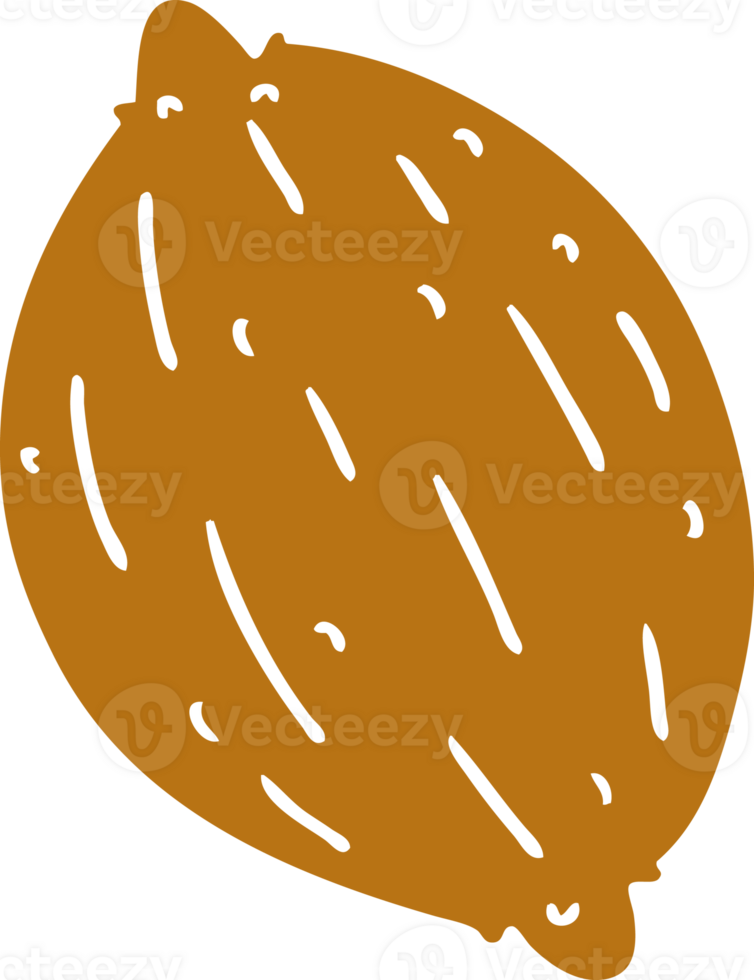 cartoon of a single walnut png