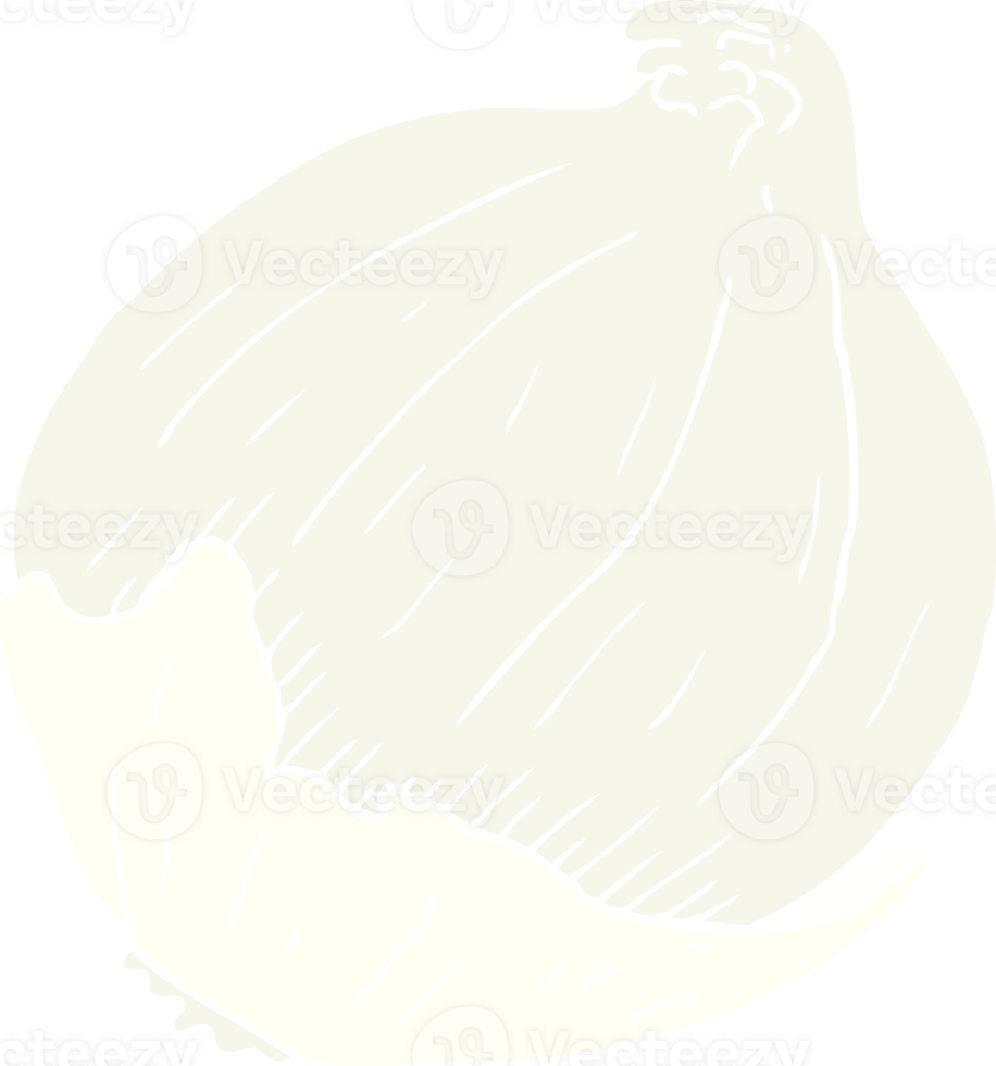 flat color illustration of a cartoon onion png