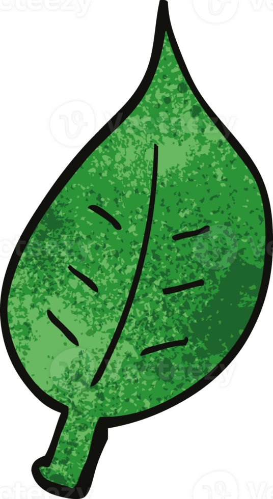 cartoon doodle autumnal leaf png